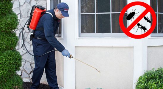 Köşk Hamam Böceği İlaçlama böcek ilaçlama ve haşere kontrolü — ilaclama-tr.com